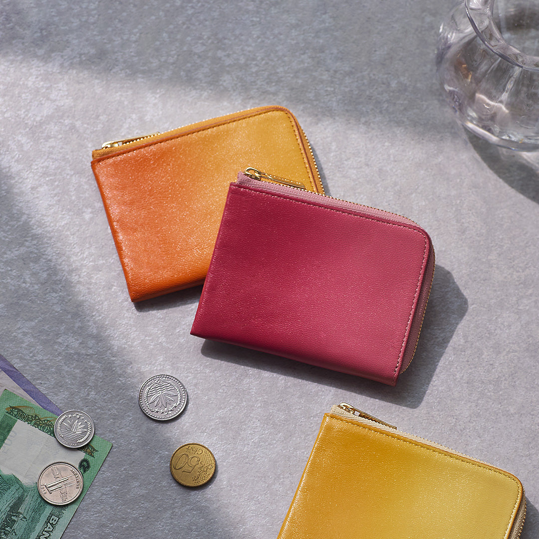 Irodori Bill & Coin Case