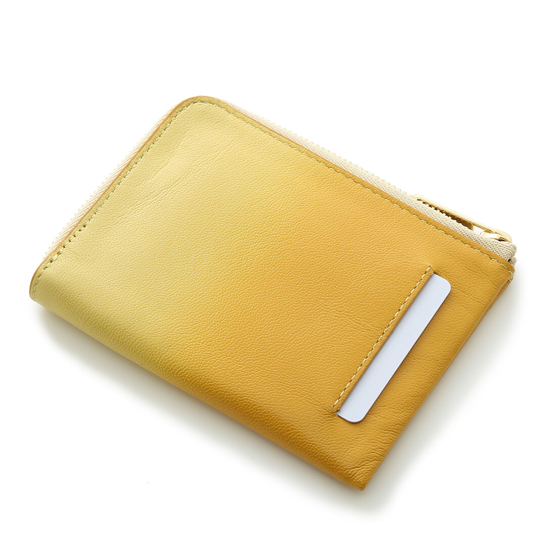 Irodori Bill & Coin Case