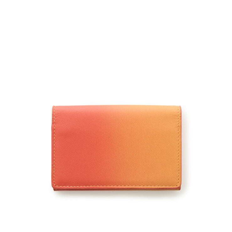 Irodori Card Case