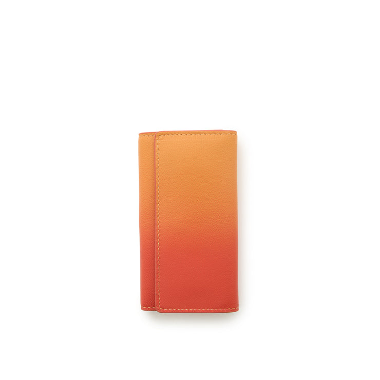 Irodori Key Case