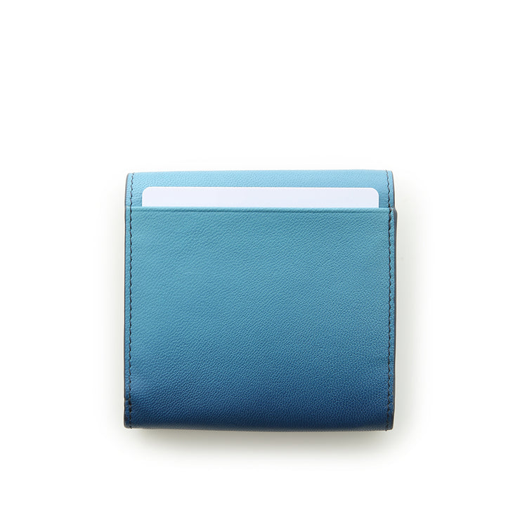 Snufkin Wallet